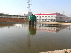 中農(nóng)穎泰林州生物科園有限公司2024年度產(chǎn)品碳足跡報(bào)告